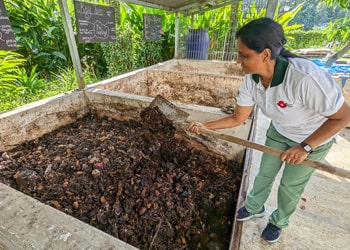 Compost, Soil & Clay Waste Disposal