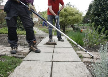 Weed, Moss & Bramble Removal